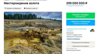 В Челябинской области выставлено на продажу перспективное золотое месторождение