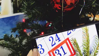 "Люди голосовали за выходной, а отдыхать будут чиновники": 31 декабря рязанские госслужащие не будут работать