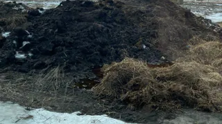 Фермерское хозяйство из Мурома неэффективно использовало грант в 6,7 миллиона рублей