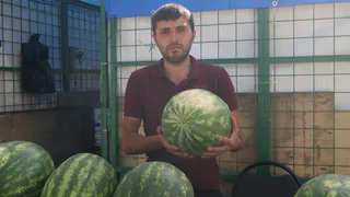 Сезон арбузов в Рязани – ждать или покупать?