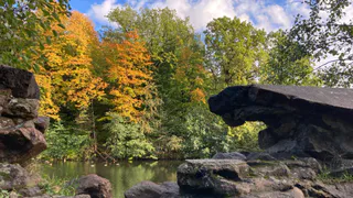 18 сентября в Рязанской области ожидается до +27