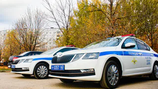 В Рязанской области задержали мужчину, который обокрал пенсионерку 