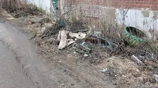 Суд обязал коммунальщиков Камешкова убрать свалку у жилого дома