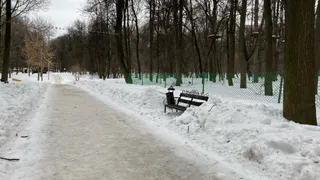 В Рязани построят центр спортивной и художественной гимнастики у ЦПКиО