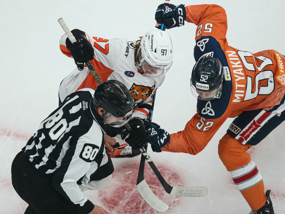 «Нефтехимик» поддержит бездомных животных в матчах против «Амура»