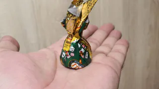 Эксперты назвали, какая еда является для собак ядом