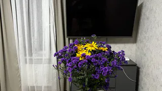 Такие  растения работают лучше снотворного: эти цветы должны стоять у каждого в спальне