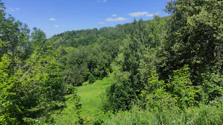 Синоптики рассказали о погоде в Коми на сегодня, 20 августа