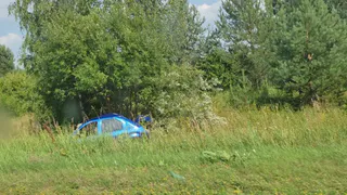 На трассе между Сасово и Ермишем в ДТП пострадал 54-летний мужчина