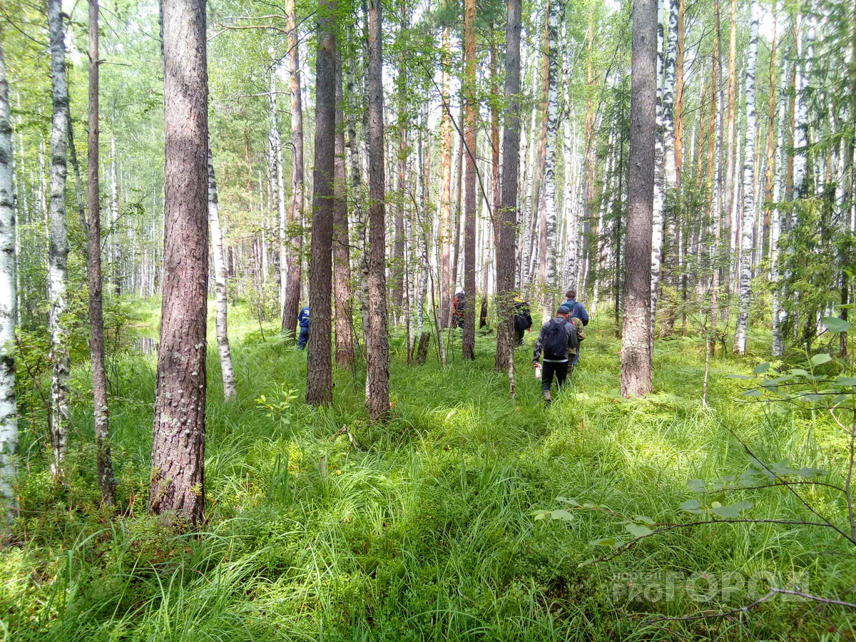 Волонтёры объявили экстренный поиск 49-летней местной жительницы, которая пропала три дня назад