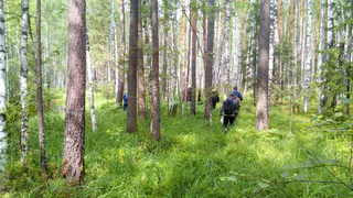 Волонтёры объявили экстренный поиск 49-летней местной жительницы, которая пропала три дня назад