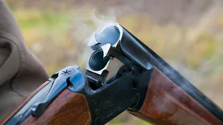 Охотники в Коми избежали уголовного наказания за незаконную охоту