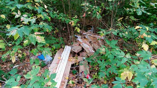 "Земля заражена ртутью": в рязанском лесопарке кто-то выбросил несколько упаковок с ртутными лампами