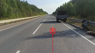 В Коми мопедист получил травмы после наезда на собаку