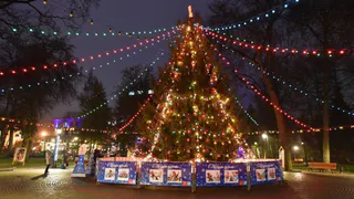 В Брянске к Новому году установили 258 световых инсталляций