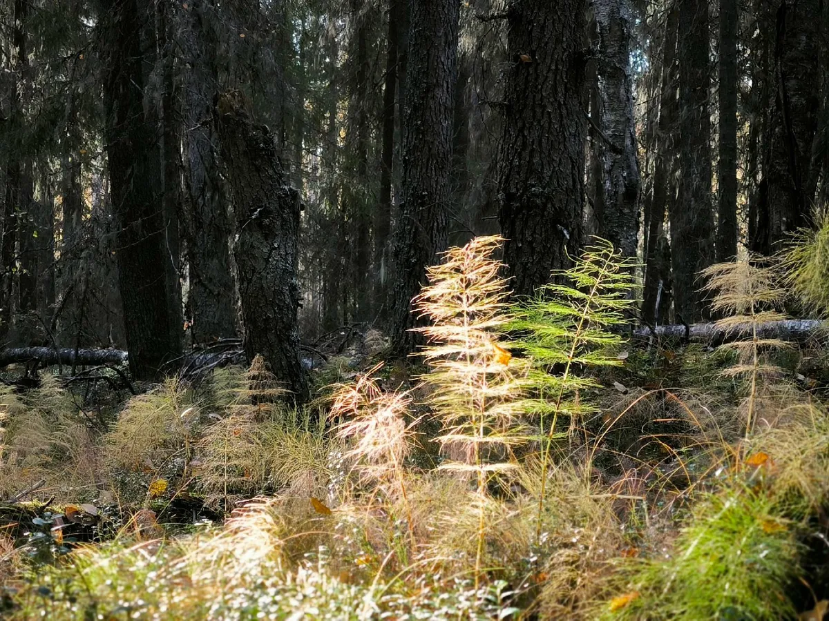 Астрологический прогноз на 24 апреля: время возможностей и новых начинаний