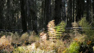 Астрологический прогноз на 24 апреля: время возможностей и новых начинаний