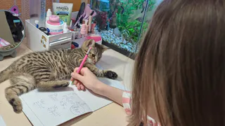 Школы Казани переходят на дистанционное обучение из‑за метели