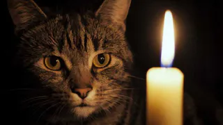 В Рязани более 60 домов останутся без электроэнергии 21 марта 