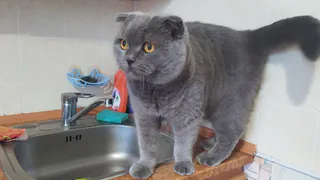 «В таких условиях невозможно жить»: рязанцы с пл. Попова практически месяц ожидают горячую воду