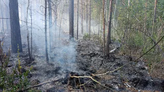 Пожарные из Чувашии оперативно помогли соседнему региону справиться с огнем