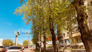 Наступит настоящее лето: Роман Вильфанд назвал точную дату потепления в Центральной России