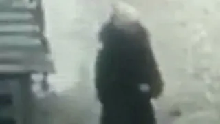 В Брянске женщина отравила двух домашних и одну дворовую собаку