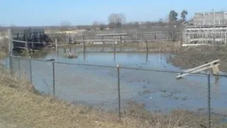 В Кадомском районе Рязанской области подтопило ещё 7 приусадебных участков