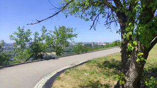 После 2 сентября в Магнитогорске начнут акарицидную обработку парков