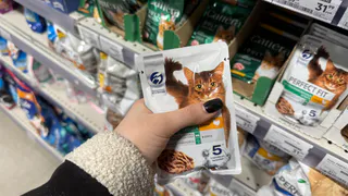 "Не травите этим домашних кошек": в Роскачестве назвали самые худшие марки корма для питомцев