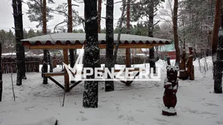 Что такое парк «Древландия» на самом деле: история большого обмана