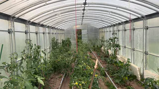 Юный гений из Рязани придумал, как управлять огородом со смартфона: умная теплица своими руками