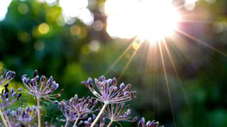 Погода в Нижнекамске на первую половину недели: тепло и солнечно