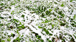 Зима и лето поменялись местами, погода преподнесла неожиданный поворот событий