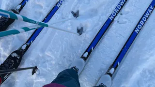 От полиатлона до лыж: недельный календарь турниров во Владимирской области