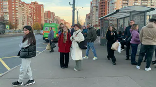 Инспектор ГИБДД поставил точку: можно ли останавливаться на автобусной остановке, чтобы высадить пассажира