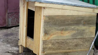 В Сапожке женщина пойдет под суд за убийство соседской собаки