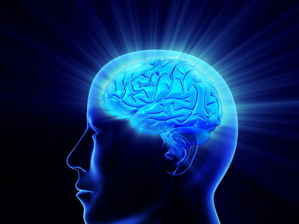 Как улучшить память: 9 продуктов, которые стоит добавить в рацион