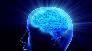 Как улучшить память: 9 продуктов, которые стоит добавить в рацион 