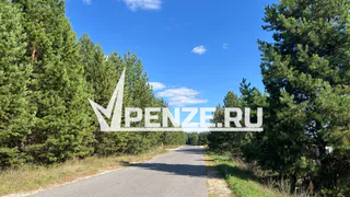 У 11-ти пензенцев в июле обнаружили клещевой боррелиоз