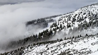 Начнется 25 декабря и продлится 24 дня - синоптики дали новый прогноз погоды на ближайший месяц