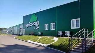 Владимирский агропроект заменит импорт луковиц тюльпанов из Европы