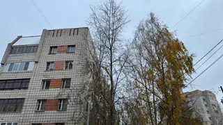 Синоптики рассказали о погоде в Коми на сегодня, 30 октября