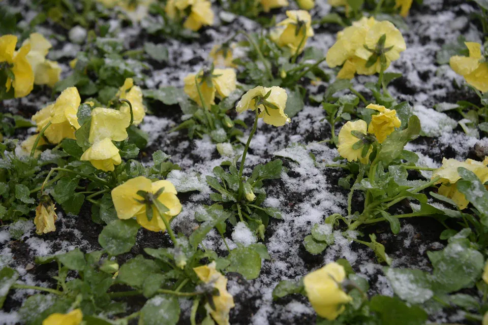В Челябинской области вновь выпадет снег, похолодает до -5 и загремят грозы