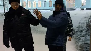 В Коми транспортные полицейские обнаружили у пассажира поезда коноплю