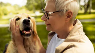 Владимирцам на заметку: пенсионерам России могут начать выплачивать пособие на питомцев