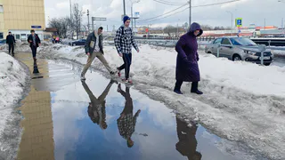 15 марта в Рязанской области ожидается дождь и +7
