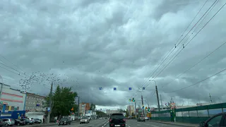 В Рязани сотрудники полиции раскрыли дело об угоне автомобиля