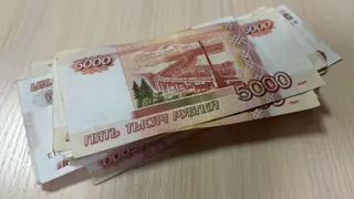 Социальные программы для владимирцев: кому и какие выплаты доступны в 2026 году?