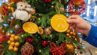 Владимир Уйба дал старт всероссийской акции «Елка желаний» в Коми